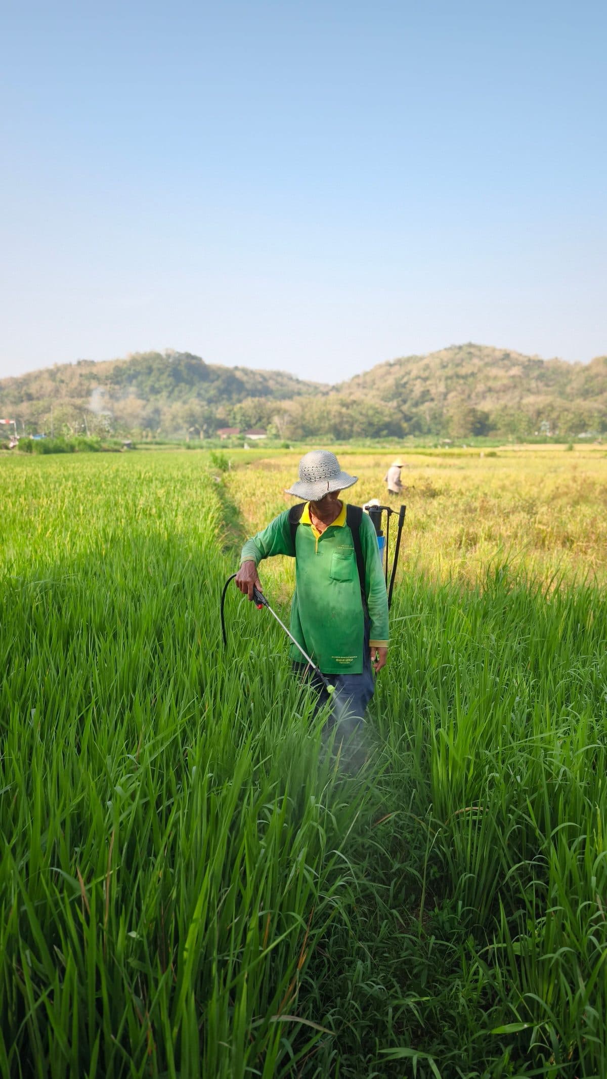 Technicien agricole traitant une parcelle